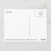 Carte Postale Léopard assis (Dos)