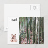 Carte Postale Léopard de dessin animé et forêt de bambou (Devant / Derrière)