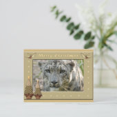 Carte Postale Léopard de neige-BCR-c-158 (Debout devant)