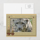 Carte Postale Léopard de neige-BCR-c-158 (Devant / Derrière)