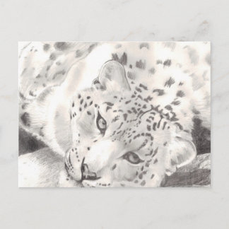 Carte Postale Léopard des neiges