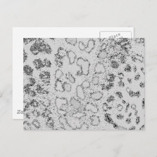 Carte Postale Léopard des neiges (Devant / Derrière)