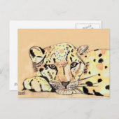 Carte Postale léopard des neiges (Devant / Derrière)