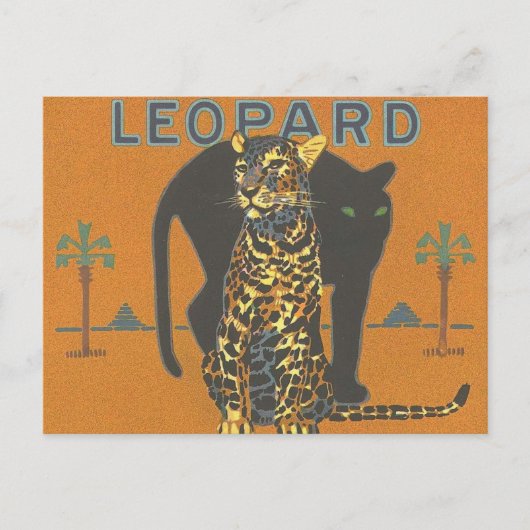 Carte Postale Leopard et Panther (Devant)