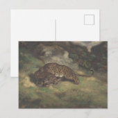 Carte Postale Leopard et Serpent (Devant / Derrière)