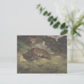 Carte Postale Leopard et Serpent (Debout devant)