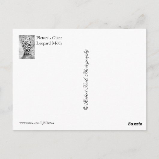 Carte Postale Léopard géant (Dos)