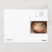 Carte postale Leopard Gecko (Dos)