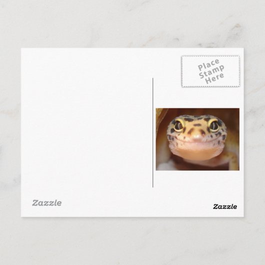 Carte postale Leopard Gecko (Dos)