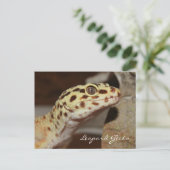 Carte postale Leopard Gecko (Debout devant)