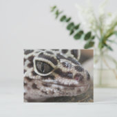 Carte Postale Léopard Gecko Yeux Bouche visage gros (Debout devant)