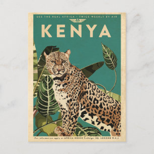 Carte Postale Leopard Kenya Travel 