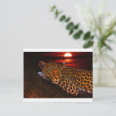 carte postale leopard kitty (Debout devant)