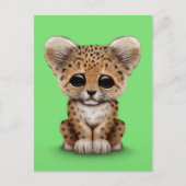 Carte Postale Léopard mignon CUB de bébé sur le vert (Devant)
