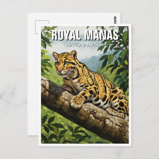 Carte Postale Leopard nuageux au parc national Royal Manas (Devant / Derrière)