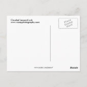 Carte Postale Léopard obscurci (Dos)