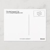 Carte Postale Léopard obscurci (Dos)