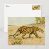 Carte Postale Leopard, pastel, artiste inconnu (Devant / Derrière)
