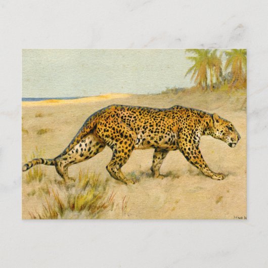 Carte Postale Leopard, pastel, artiste inconnu (Devant)