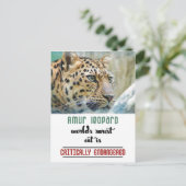 Carte Postale Leopard Protect the Wildlife citation (Debout devant)