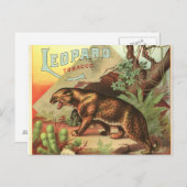 Carte Postale Leopard Tobacco 1900 (Devant / Derrière)