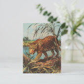 Carte Postale Leopard Vintage (Debout devant)