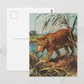 Carte Postale Leopard Vintage (Devant / Derrière)