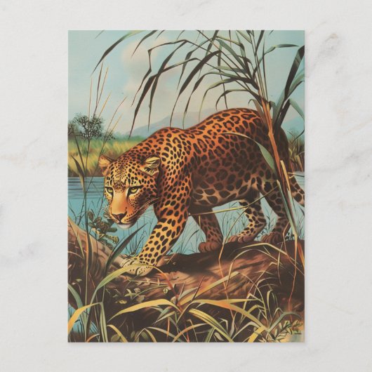 Carte Postale Leopard Vintage (Devant)