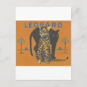 Carte Postale Leopard Vintage (Devant)