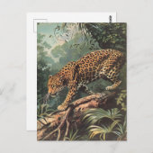 Carte Postale Leopard Vintage (Devant / Derrière)