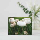 Carte postale Lepiota Sportif Vert (Debout devant)