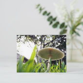 Carte postale Lepiota Sportif Vert (Debout devant)