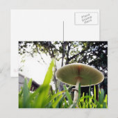 Carte postale Lepiota Sportif Vert (Devant / Derrière)