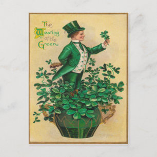 Carte Postale Leprechaun Shamrock Clay Pipe Harp of Erin