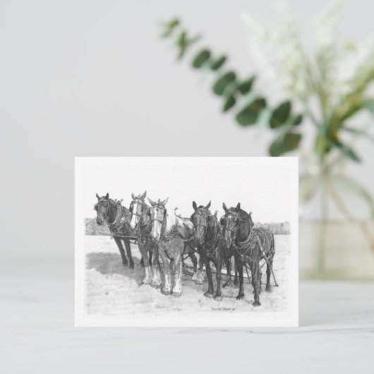 Carte Postale L'équipe (Debout devant)