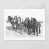 Carte Postale L'équipe (Devant)