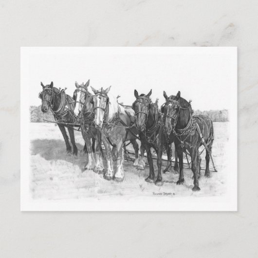 Carte Postale L'équipe (Devant)