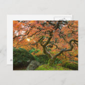 Carte Postale L'Érable Dans Les Jardins Japonais En Automne (Devant / Derrière)