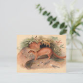 Carte Postale L'ère par Joseph Wolf (Debout devant)