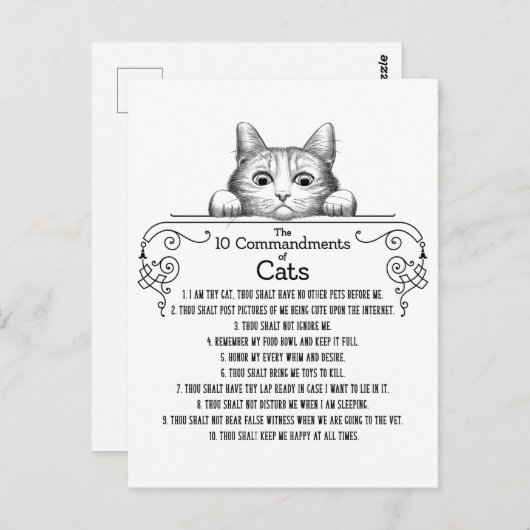 Carte Postale Les 10 commandements de chats amusants (Devant / Derrière)