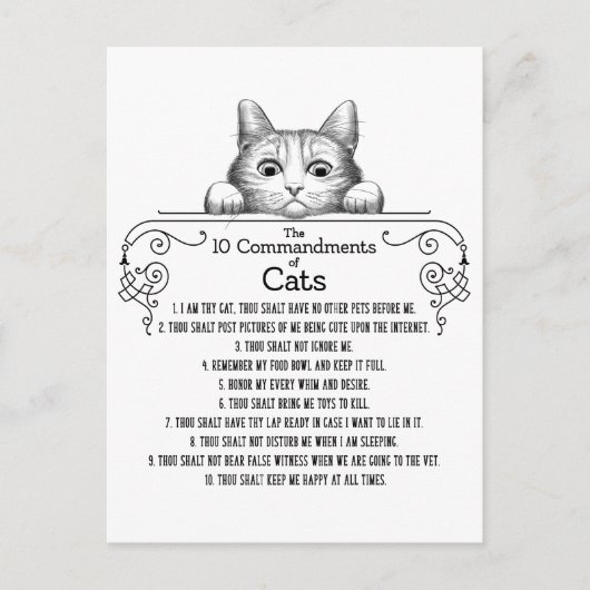 Carte Postale Les 10 commandements de chats amusants (Devant)