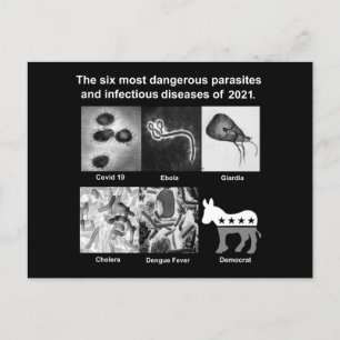 Carte Postale Les 6 parasites les plus dangereux & infectieux 20