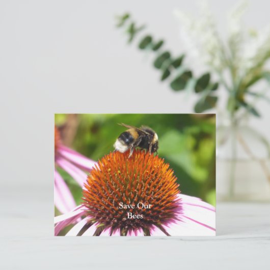 CARTE POSTALE LES ABEILLES (Debout devant)