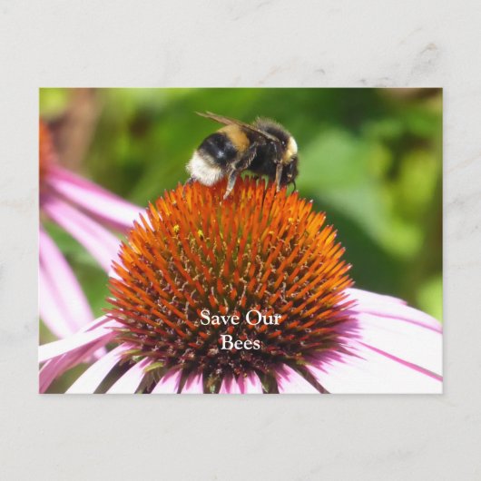 CARTE POSTALE LES ABEILLES (Devant)