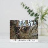 Carte Postale Les Adirondacks, New York (Debout devant)