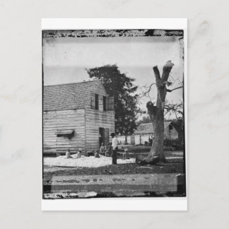 Carte Postale Les Afro-Américains préparent le coton vers 1862