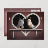 Carte Postale Les amateurs de chevaux (Devant / Derrière)