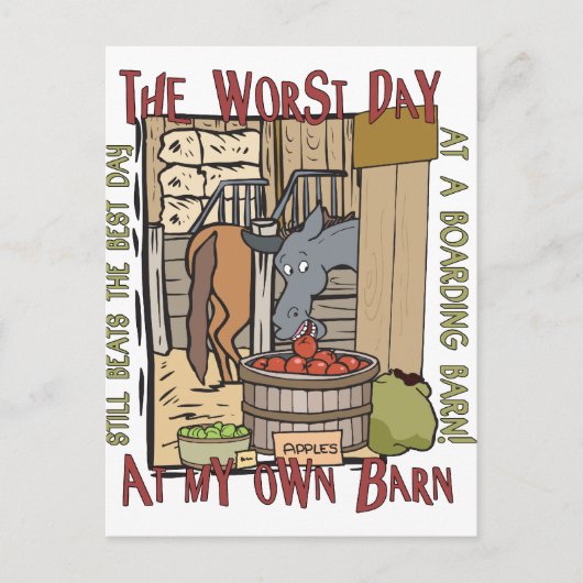 Carte Postale Les amateurs de chevaux cadeaux (Devant)