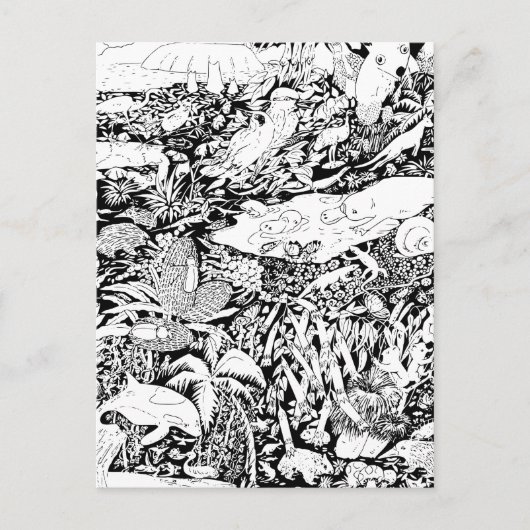 Carte Postale Les animaux en paix (Devant)