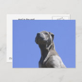 Carte Postale Les années de chien... (Devant / Derrière)